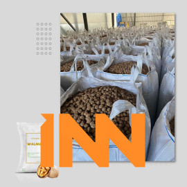 CHILEAN WALNUT – WHOLESALE NATURAL, HIGH-QUALITY SERR & CHANDLER WALNUT VARIETIES